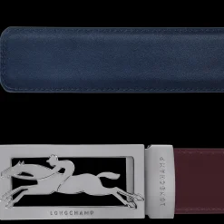 Online Delta Box Riem